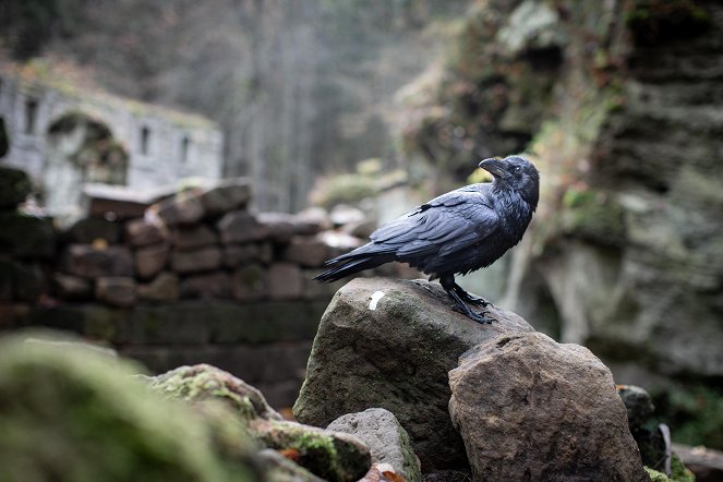 The Raven's Tale - Mystic Czechia - Photos