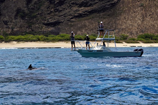 Hawaiis versteckte Paradiese - Z filmu