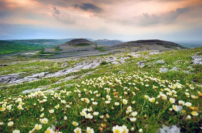 Natura Europa - Die Grüne Insel und die graue Steinwüste - Van film