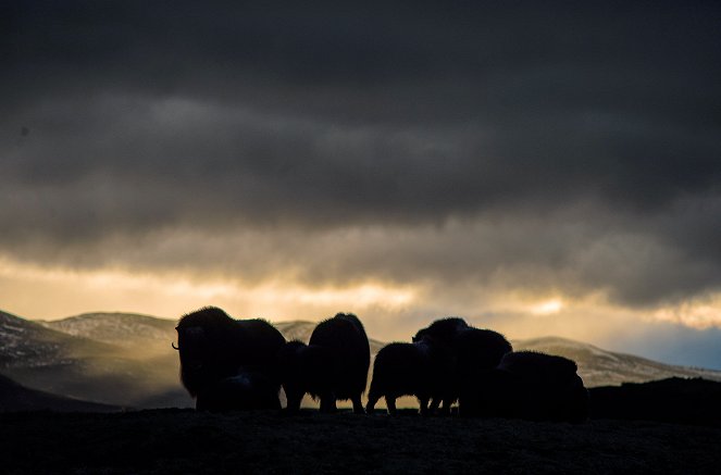 Natura Europa - Was ist Wildnis? - Photos