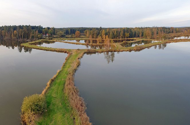 Natura Europa - Was ist Wildnis? - Kuvat elokuvasta