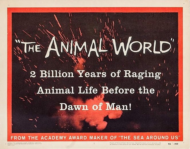 Eläinten maailma - Mainoskuvat