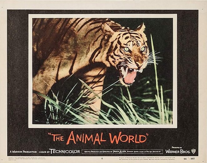 The Animal World - Lobbykaarten