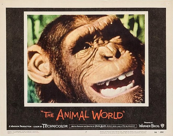 The Animal World - Cartões lobby