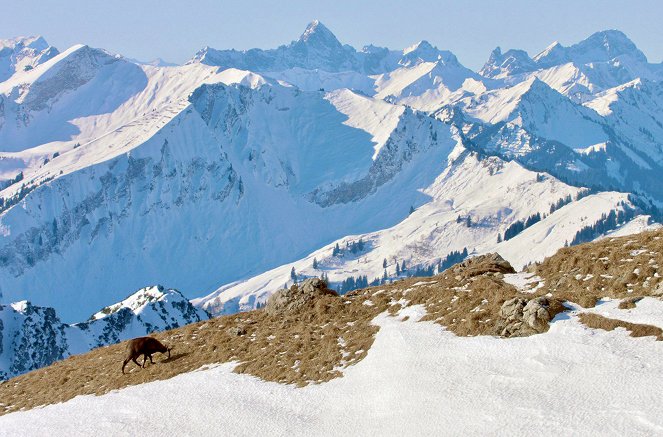 Hófehér Alpok - Filmfotók