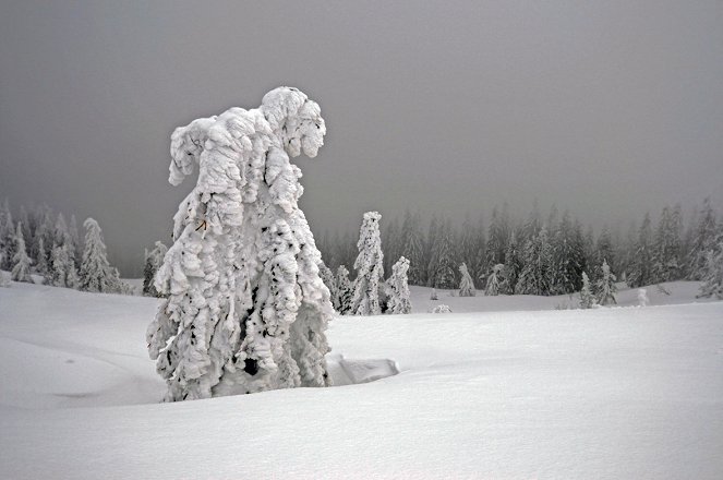 Winter am Alpenrand - Filmfotos