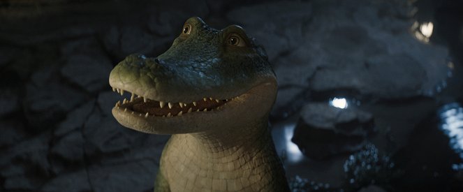 Wielki zielony krokodyl domowy - Z filmu