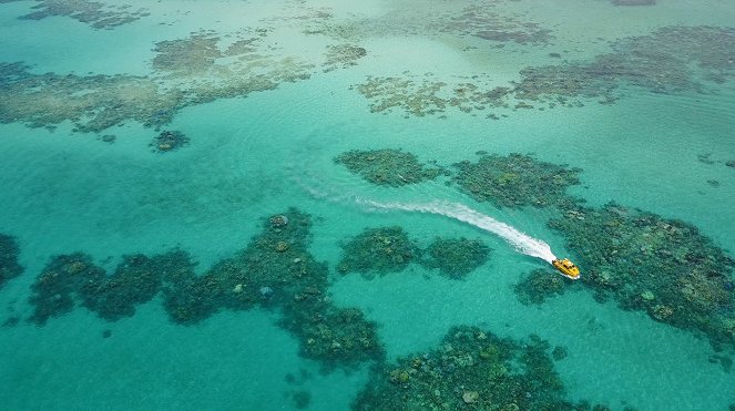 Die Wächter des Great Barrier Reef - Filmfotos