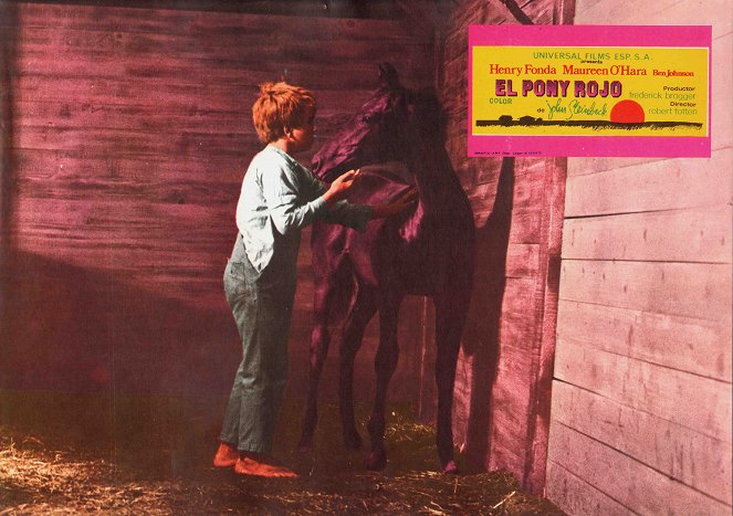 El pony rojo - Fotocromos