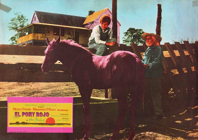 The Red Pony - Lobbykaarten