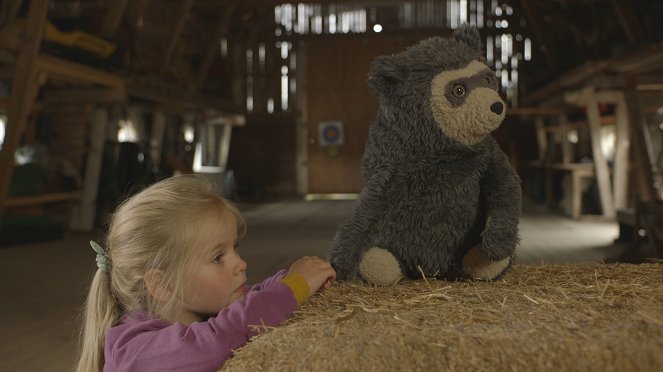 Rady medvídka mývala - Z filmu