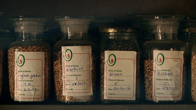 The Seeds of Vandana Shiva - Z filmu