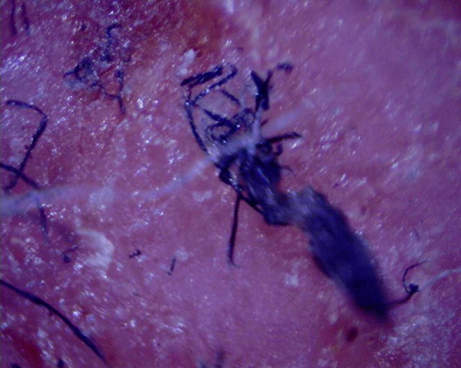 Ősi idegenek - Aliens, Plagues and Epidemics - Filmfotók