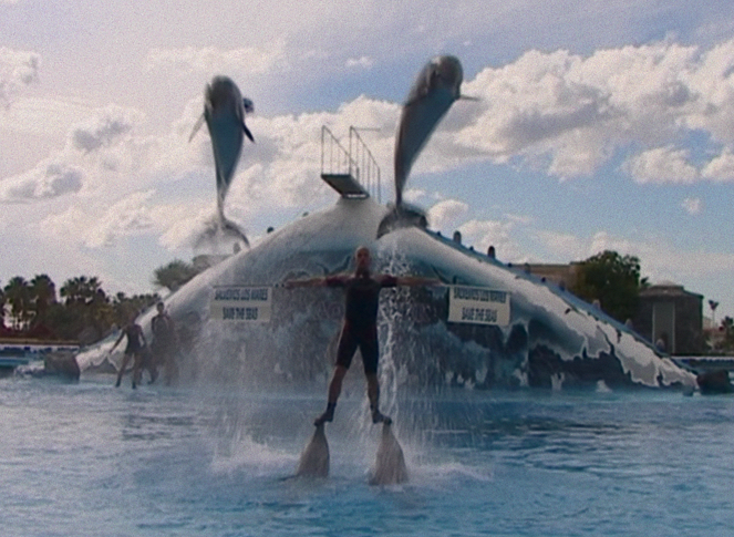 Den sista delfinkungen - Kuvat elokuvasta