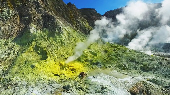 Pako Uuden-Seelannin tulivuorisaarelta - Kuvat elokuvasta