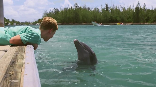 Dolphin Kick - Kuvat elokuvasta