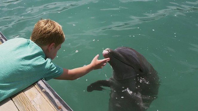Echo, der Delphin - Eine Freundschaft fürs Leben - Filmfotos