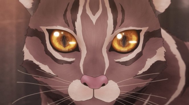 Tokyo Mew Mew New - Season 1 - Wait, What?! I'm a Superhero Now?! Meow! - Photos