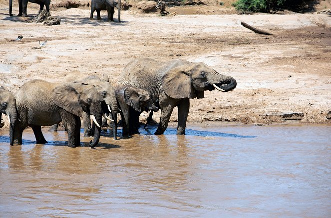 Kenia - Dem Regen hinterher - Filmfotos