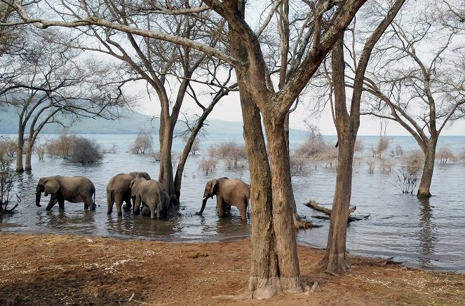 Tanganjika - Das Meer im Herzen Afrikas - Photos