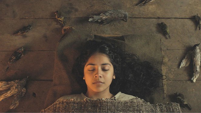 Brujería - Kuvat elokuvasta - Valentina Véliz Caileo