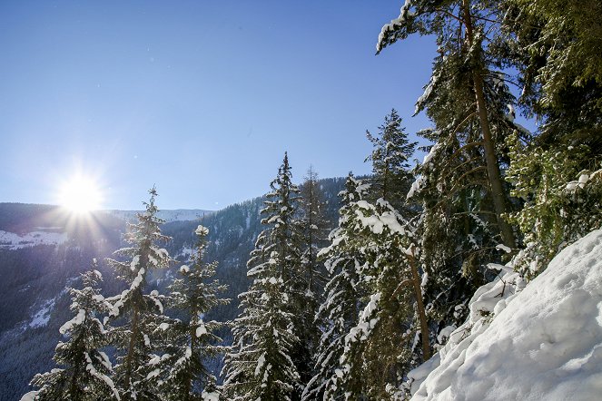 Heimatleuchten - Tirol – Wo der Winter wohnt - Z filmu