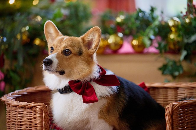 A Royal Corgi Christmas - Filmfotók