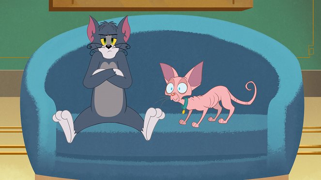 Tom a Jerry v New Yorku - Série 1 - Kočičí chlupy / Pššt! / Žhavý hit / Quackerova šťastná mince - Z filmu