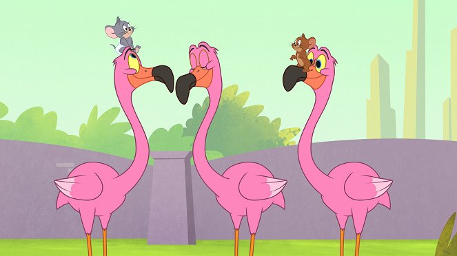 Tom és Jerry New Yorkban - Planet of Mice / Ball of Fun / Big Apple / Flamingo A-Go-Go - Filmfotók