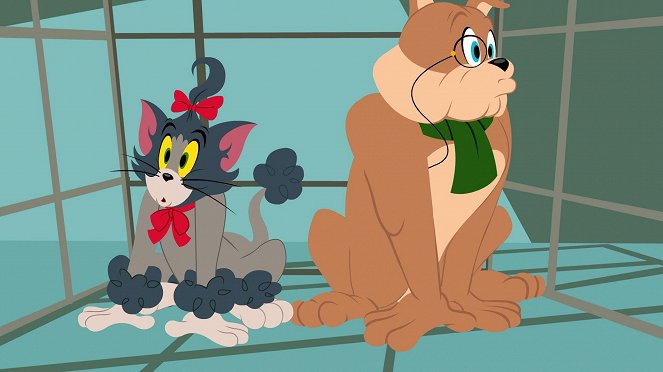 The Tom and Jerry Show - Season 1 - My Bot-y Guard / Little Quacker & Mr. Fuzzy Hide - Film