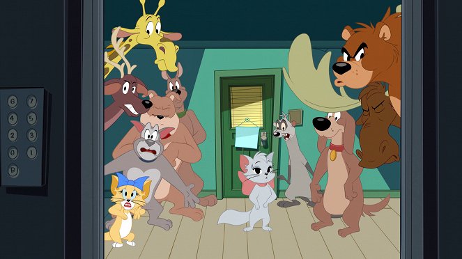 The Tom and Jerry Show - Fight in the Museum / Kitten Grifters / School of Hard Knocks - De la película