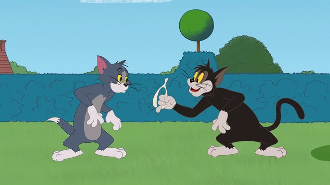 Show Toma a Jerryho - Cat-a-Tonic Mouse / Brain Food / Wish Bone - Z filmu