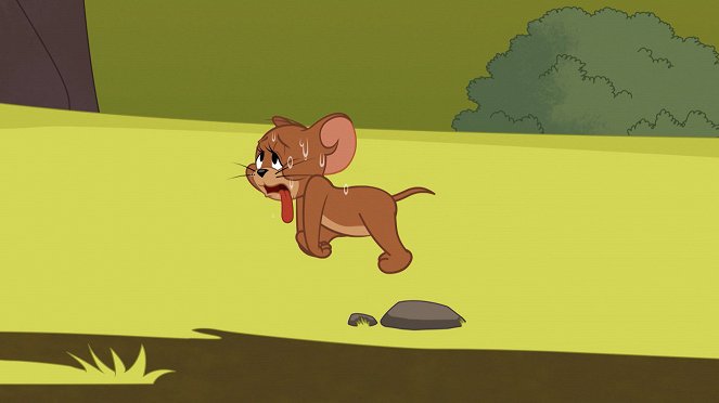 Die Tom und Jerry Show - Season 2 - Das Date / Kälteeinbruch / Toms Memoiren - Filmfotos