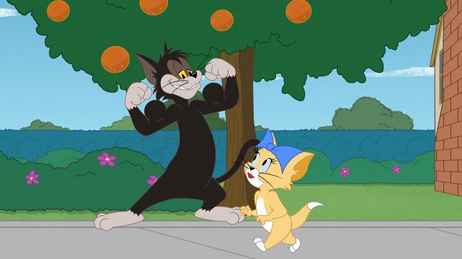 The Tom and Jerry Show - Cat Match Fever / Cold Snap / Novel Idea - Van film