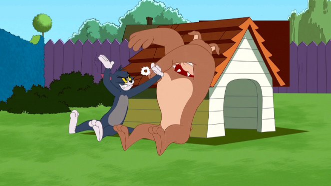 Die Tom und Jerry Show - Das neue Haustier / Tom geht Gassi / Pfoten weg vom Käse - Filmfotos