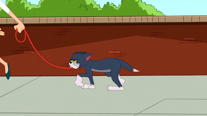 Die Tom und Jerry Show - Season 3 - Das neue Haustier / Tom geht Gassi / Pfoten weg vom Käse - Filmfotos