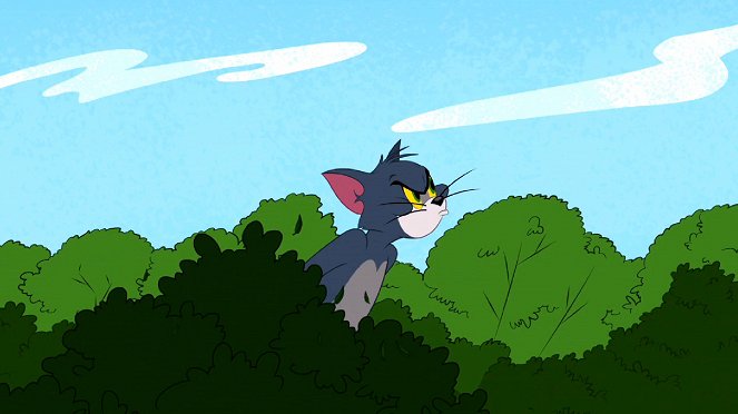 A Tom és Jerry-show - Season 3 - Seregély a konyhában / Macskapóráz / A sajt őre - Filmfotók