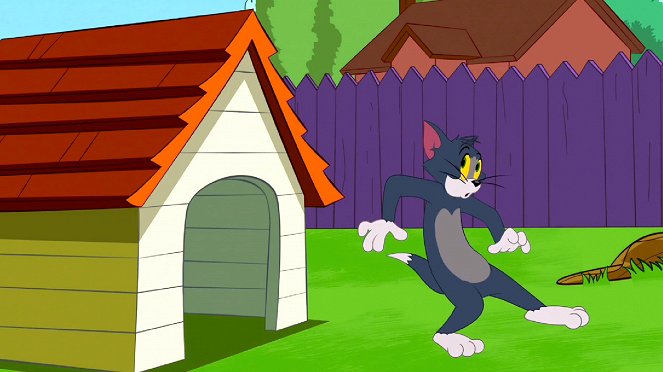 Die Tom und Jerry Show - Season 3 - Der alte Teppich / Ein herrschaftlicher Traum / Tom, das Hundespielzeug - Filmfotos