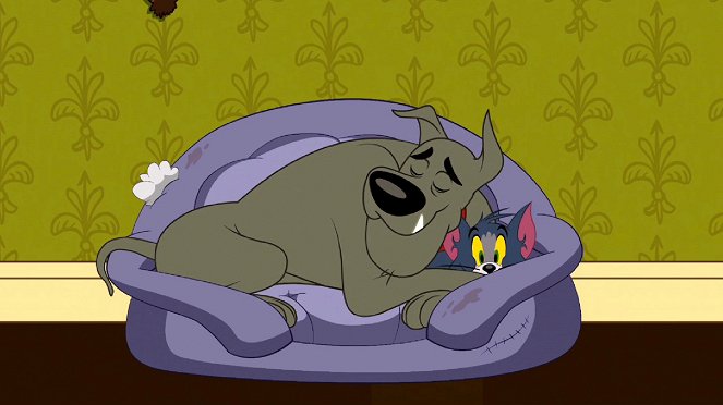 Die Tom und Jerry Show - Der alte Teppich / Ein herrschaftlicher Traum / Tom, das Hundespielzeug - Filmfotos