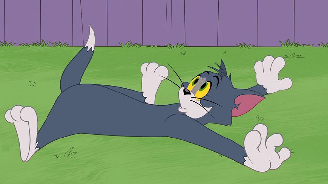 The Tom and Jerry Show - Lame Duck / It's All Relative / Vegged Out - Film