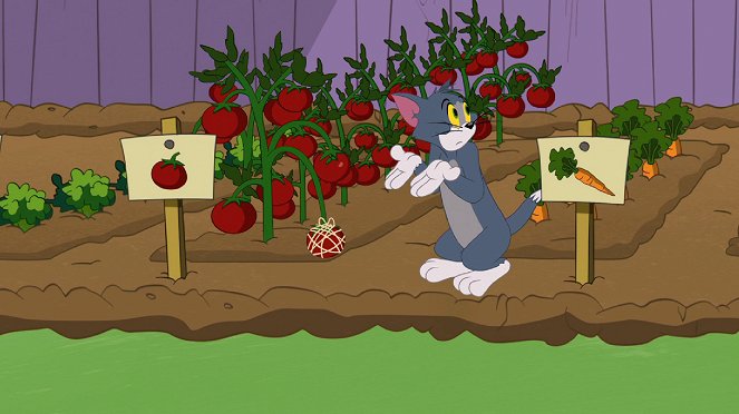 A Tom és Jerry-show - Season 3 - Pocokirtás / Sütőverem / Fekete csont - Filmfotók