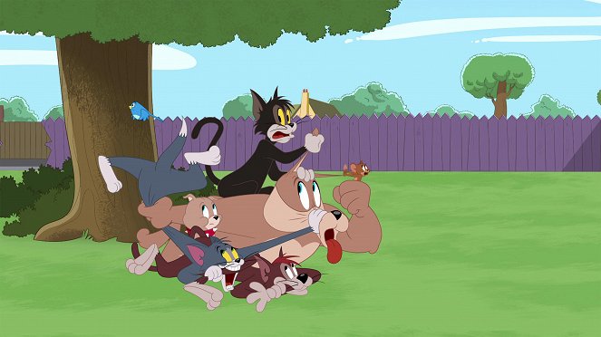 Die Tom und Jerry Show - Season 4 - Die Malteser Taube / Das Seeungeheuer / Der Werwolf von Katzenvanien - Filmfotos