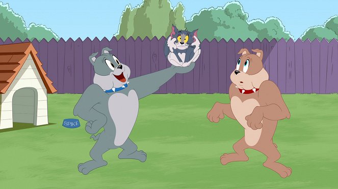 Nové dobrodružstvá Toma a Jerryho - Mind Your Royal Manners / A Rare Breed / Oh Brother - Z filmu