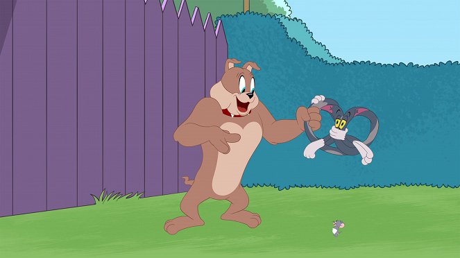 Die Tom und Jerry Show - Zehnfacher Tom Ärger / Truthahn-Tom / Tom schütze die Queen - Filmfotos