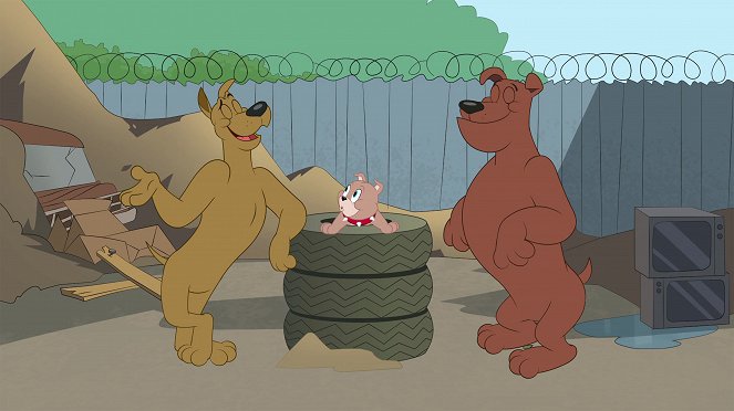 Die Tom und Jerry Show - Anleitung zum Hundsein / Kroko im Haus / Glitzer und Glamour - Filmfotos