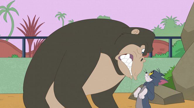 Nové dobrodružstvá Toma a Jerryho - Obří problémy / Invaze pavouků / Pěkná opičárna - Z filmu
