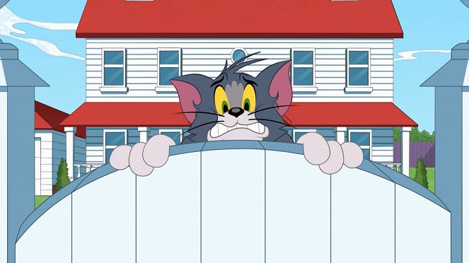 Die Tom und Jerry Show - Schluss mit der Diät / Die Höhlenkatze / Der Campingausflug - Filmfotos