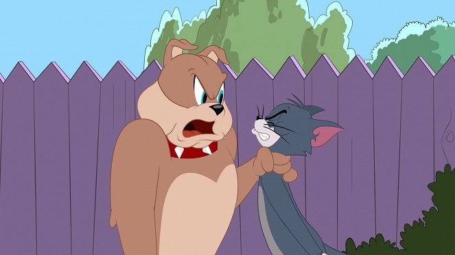 The Tom and Jerry Show - Hold the Cheese / Cave Cat / Not So Grand Canyon - De la película