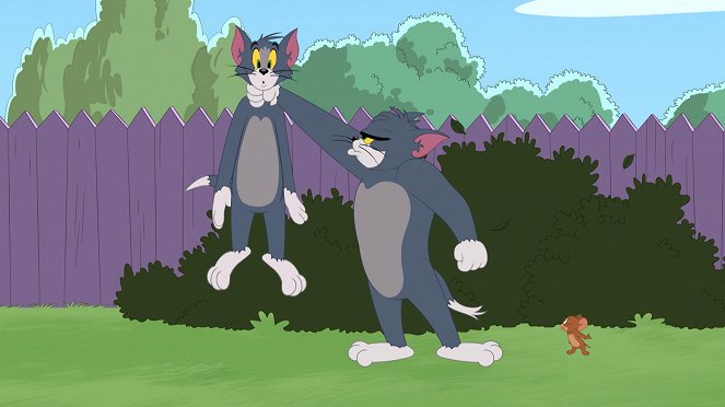 A Tom és Jerry-show - Kapd el a sajtot! / A barlangi macska / Túrázás - Filmfotók