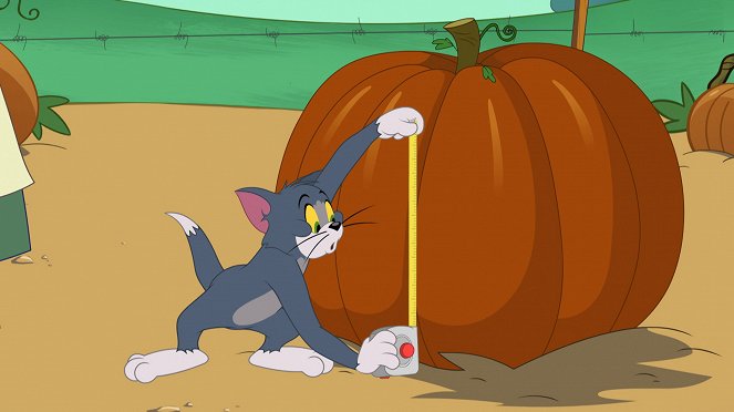 Die Tom und Jerry Show - Eine ganz linke Socke / Tom der Kürbiswächter / Paranormale Aktivitäten - Filmfotos